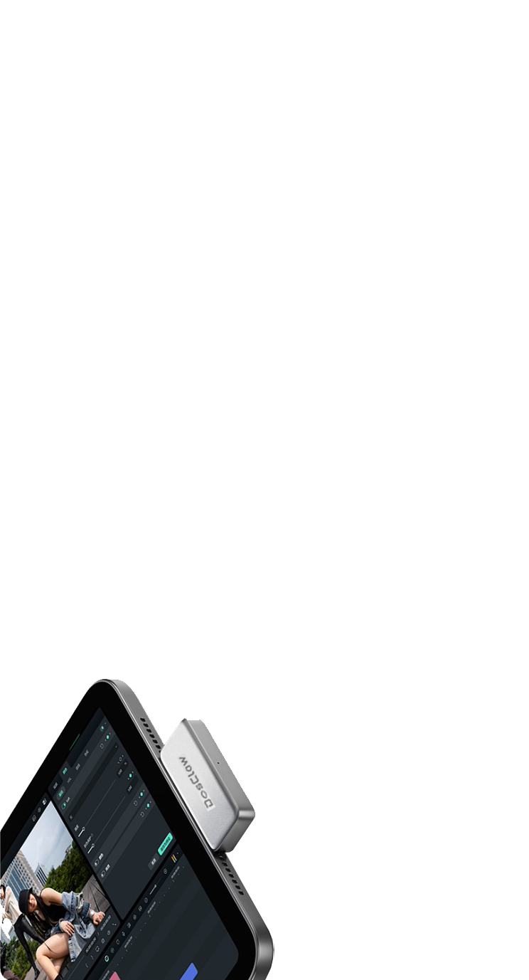 Internal Chip